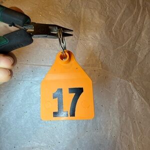 Orange Cow Tag #17 Keychain